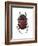 Phanaeus Dung Beetle-Lawrence Lawry-Framed Photographic Print