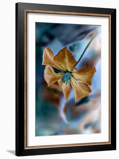 Phantasmal-Jacky Parker-Framed Giclee Print