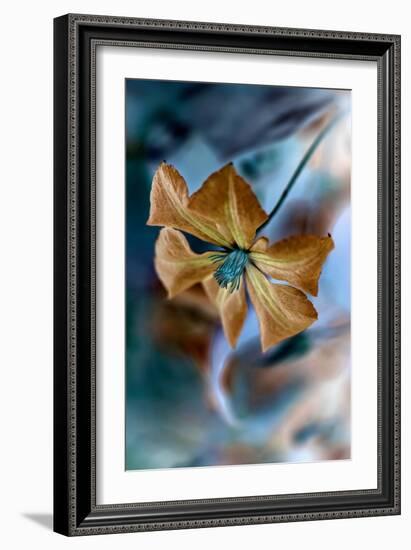 Phantasmal-Jacky Parker-Framed Giclee Print