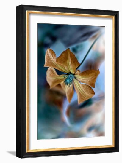 Phantasmal-Jacky Parker-Framed Giclee Print