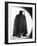 Phantom of the Opera-null-Framed Photo