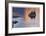 Phantom Ship Island-Donald Paulson-Framed Giclee Print