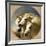 Pharaoh's Horses, 1848-John Frederick Herring I-Framed Giclee Print