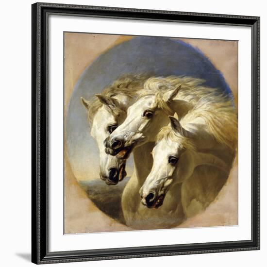 Pharaoh's Horses, 1848-John Frederick Herring I-Framed Giclee Print