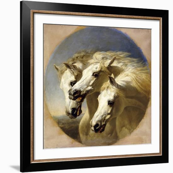 Pharaoh's Horses, 1848-John Frederick Herring I-Framed Giclee Print