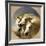 Pharaoh's Horses, 1848-John Frederick Herring I-Framed Giclee Print