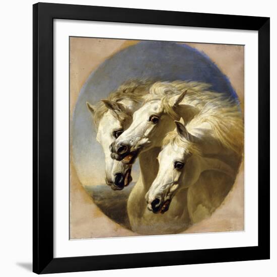 Pharaoh's Horses, 1848-John Frederick Herring I-Framed Giclee Print