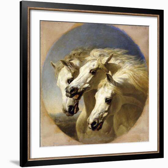 Pharaoh's Horses, 1848-John Frederick Herring I-Framed Giclee Print