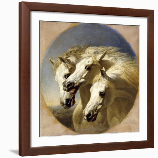 Pharaoh's Horses, 1848-John Frederick Herring I-Framed Giclee Print