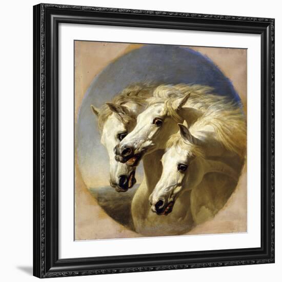 Pharaoh's Horses, 1848-John Frederick Herring I-Framed Giclee Print