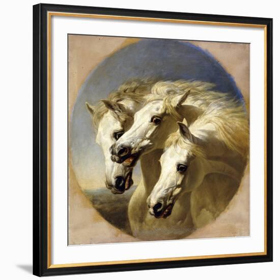 Pharaoh's Horses, 1848-John Frederick Herring I-Framed Giclee Print