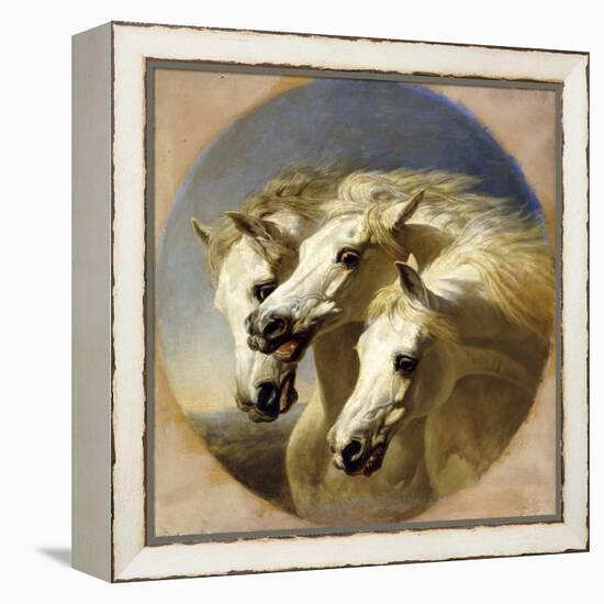 Pharaoh's Horses-John Frederick Herring I-Framed Premier Image Canvas