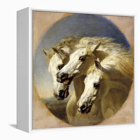 Pharaoh's Horses-John Frederick Herring I-Framed Premier Image Canvas