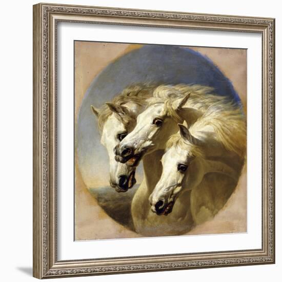 Pharaoh's Horses-John Frederick Herring I-Framed Giclee Print