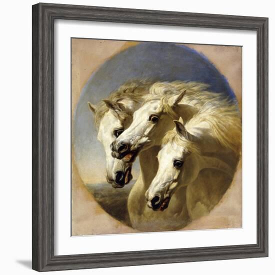 Pharaoh's Horses-John Frederick Herring I-Framed Giclee Print