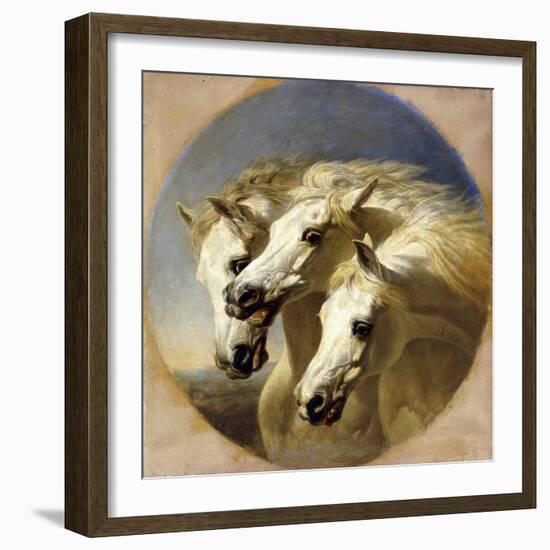 Pharaoh's Horses-John Frederick Herring I-Framed Giclee Print