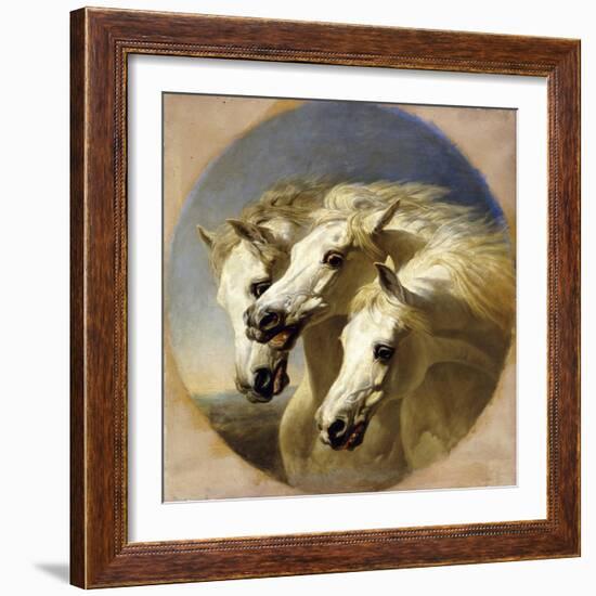 Pharaoh's Horses-John Frederick Herring I-Framed Giclee Print