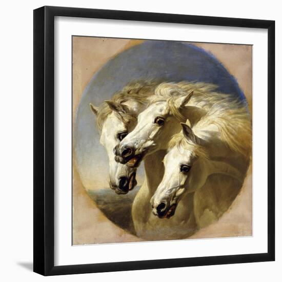 Pharaoh's Horses-John Frederick Herring I-Framed Giclee Print