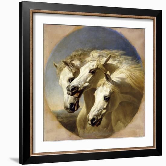 Pharaoh's Horses-John Frederick Herring I-Framed Giclee Print