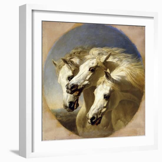 Pharaoh's Horses-John Frederick Herring I-Framed Giclee Print