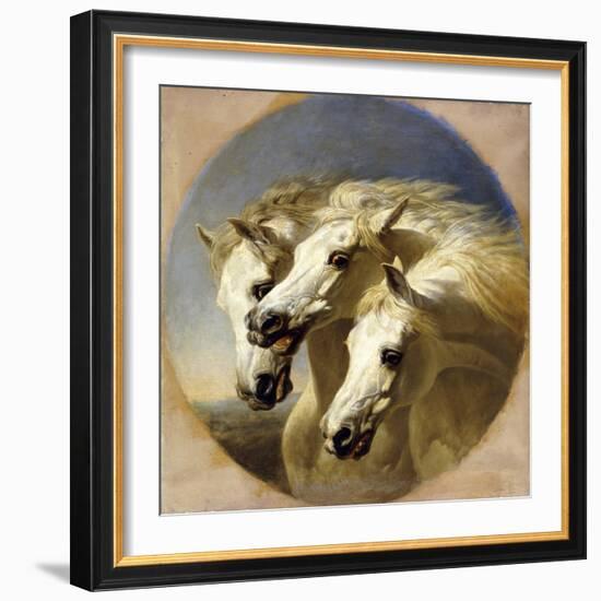 Pharaoh's Horses-John Frederick Herring I-Framed Giclee Print