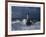 Phare d'Ar-Men, Bretagne-Jean Guichard-Framed Art Print