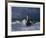 Phare d'Ar-Men, Bretagne-Jean Guichard-Framed Art Print