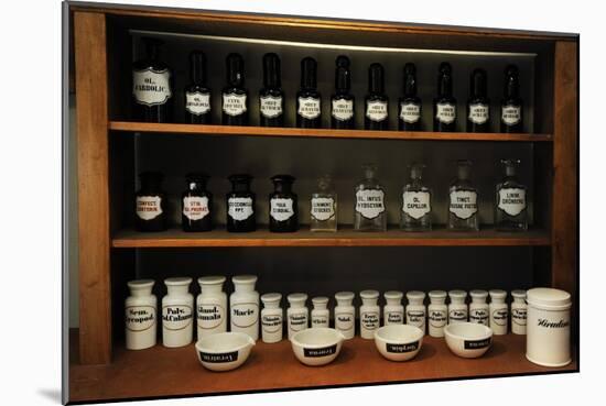 Pharmacy Jars-null-Mounted Giclee Print