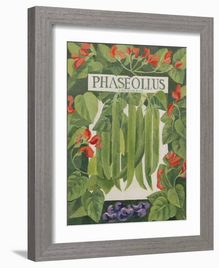 Phaseollus-Jennifer Abbott-Framed Giclee Print