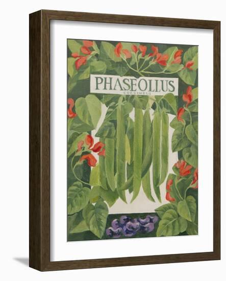 Phaseollus-Jennifer Abbott-Framed Giclee Print