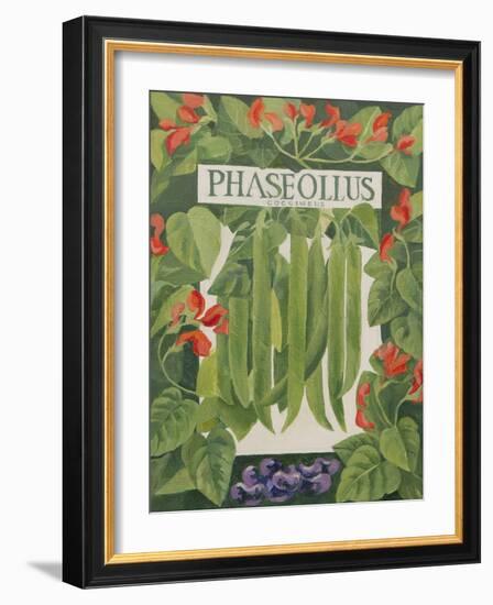 Phaseollus-Jennifer Abbott-Framed Giclee Print