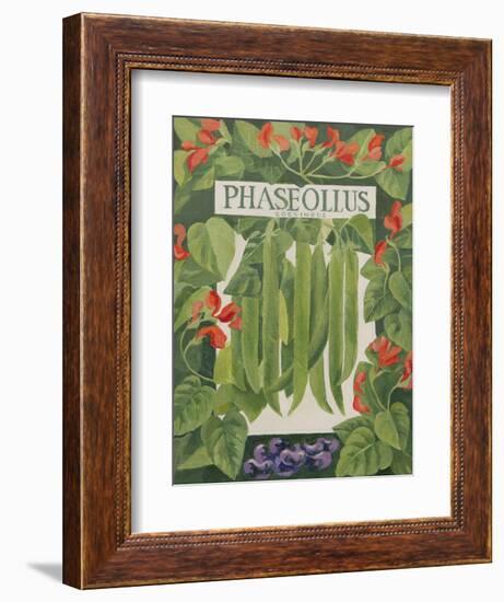 Phaseollus-Jennifer Abbott-Framed Giclee Print