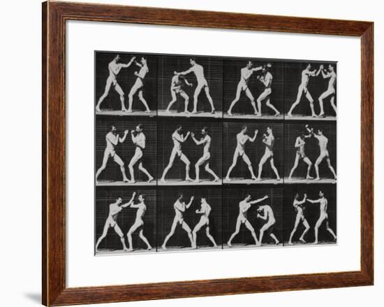 Phases in a Boxing Match-Eadweard Muybridge-Framed Giclee Print