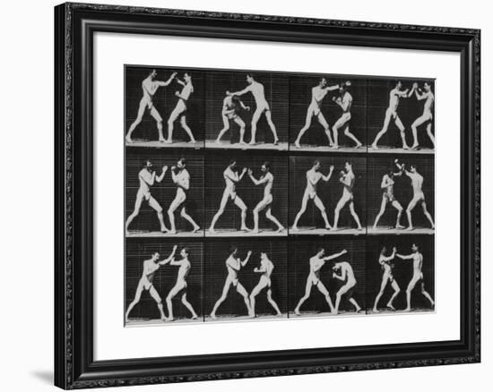 Phases in a Boxing Match-Eadweard Muybridge-Framed Giclee Print