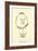 Phattfacia Stupenda-Edward Lear-Framed Giclee Print