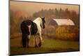 Photographic Print