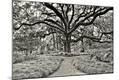 Premium Photographic Print