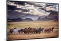 Photographic Print