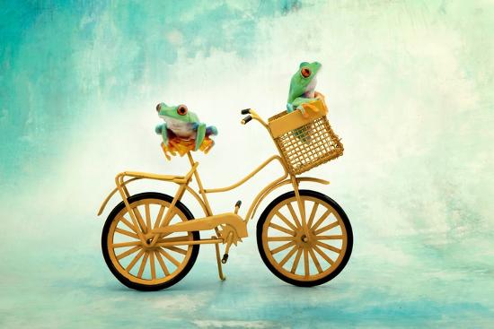 Photographic Print, , large