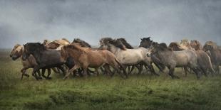 Waterfall Horses II-PHBurchett-Photographic Print