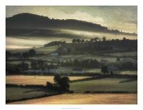 Morning Fog Ireland-PHBurchett-Art Print