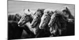 Photographic Print