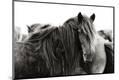 Premium Photographic Print