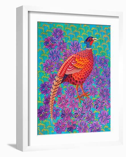 Pheasant, 2021, (oil on canvas)-Jane Tattersfield-Framed Giclee Print