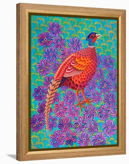 Pheasant, 2021, (oil on canvas)-Jane Tattersfield-Framed Premier Image Canvas