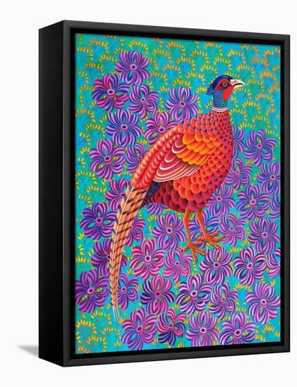 Pheasant, 2021, (oil on canvas)-Jane Tattersfield-Framed Premier Image Canvas
