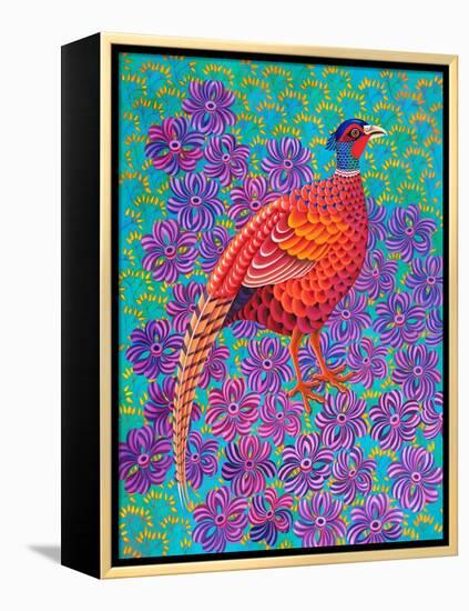 Pheasant, 2021, (oil on canvas)-Jane Tattersfield-Framed Premier Image Canvas