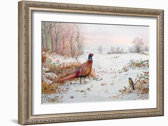 Pheasant and Bramblefinch in the Snow-Carl Donner-Framed Giclee Print