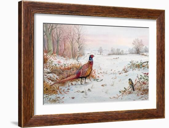 Pheasant and Bramblefinch in the Snow-Carl Donner-Framed Giclee Print
