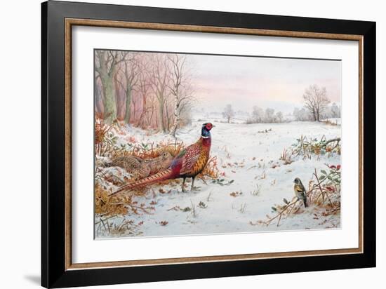 Pheasant and Bramblefinch in the Snow-Carl Donner-Framed Giclee Print